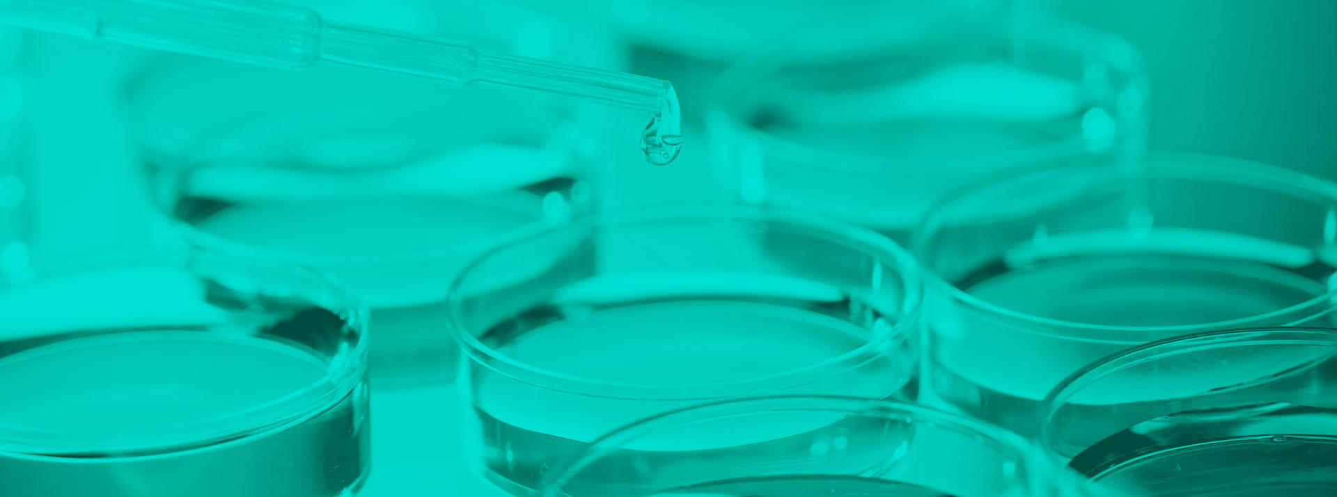 Cell culture consumables by faCellitate