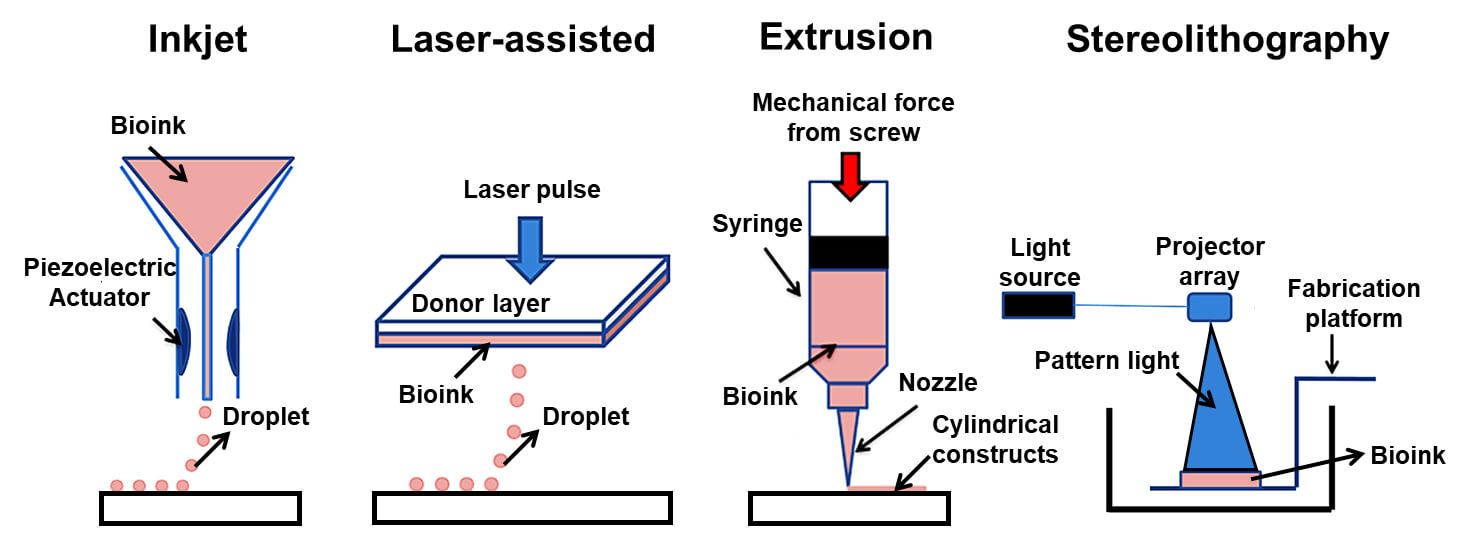 3d bioprinting types