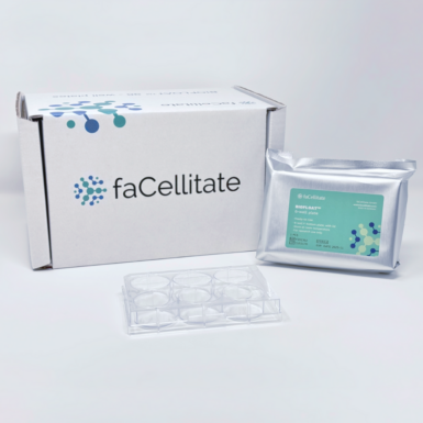 BIOFLOAT™ 6-well plate [F202302]