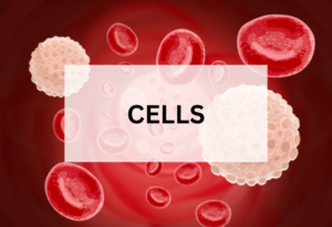 CELLS