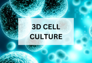 3D CELL CULTURE