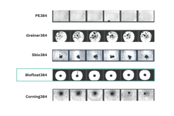 Website product images (1)