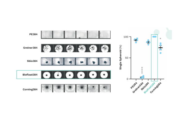 Website product images
