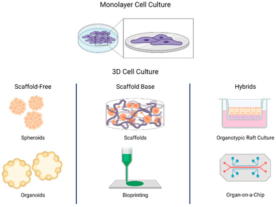 3d cell culture