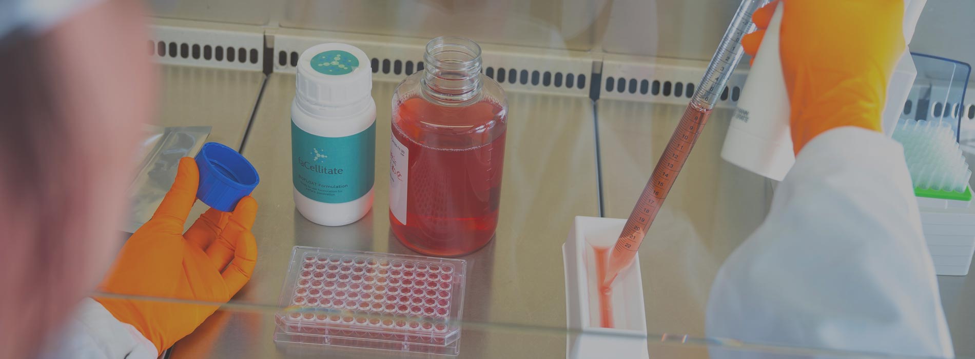 3D cell culture solutions by faCellitate